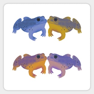 Bullfrog Buddies (Sunsplash) Magnet